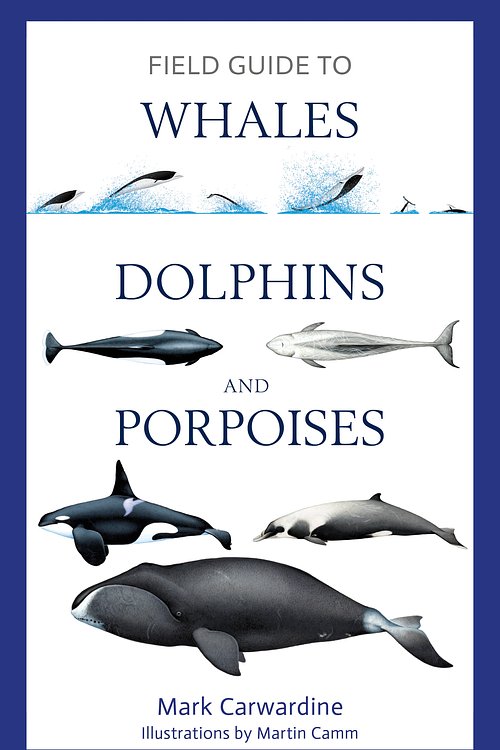 Cover Art for 9781472969972, Field Guide to Whales, Dolphins and Porpoises by Mark Carwardine