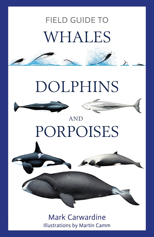 Cover Art for 9781472969972, Field Guide to Whales, Dolphins and Porpoises by Mark Carwardine