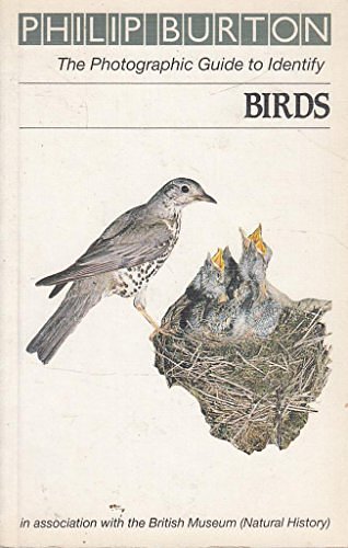 Cover Art for 9780241121610, Birds (Roger Phillips guides) by Philip Burton